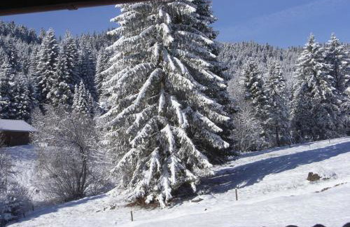 Schwarzwald-Hotel Kraeutle - Foto 56