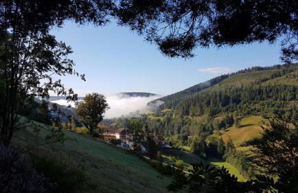 Ferienwohnung Tonbachtal - Photo 13