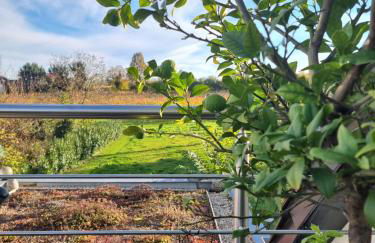 PalatinaZeit - WEINblick - Ferienwohnung im Haus Petry - Freinsheim - Pfalz - Foto 7