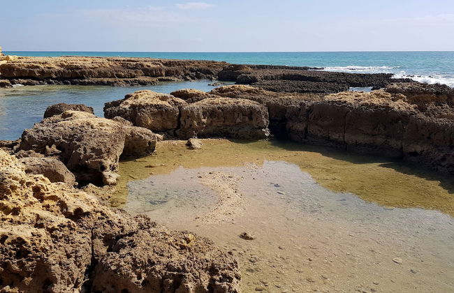 Albufeira Sea Balcony by Rentals in Algave (11) - Foto 53