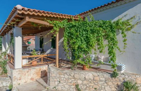 Sempreviva - Foto 76