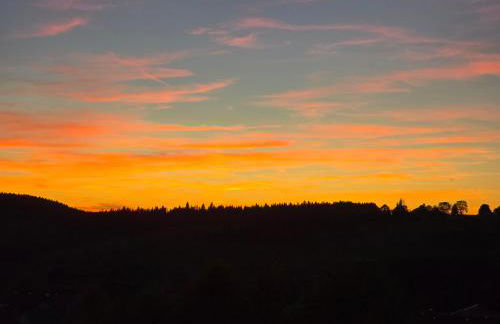Appartement 1 chambre - Foto 11