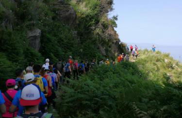 L' Agrumeto - Photo 72