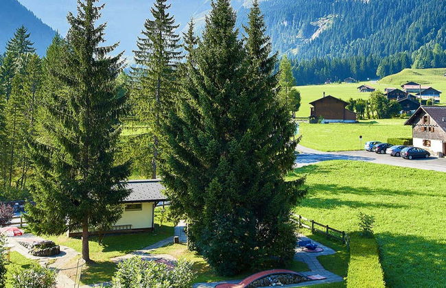 Excursion aux Diablerets et à Montreux - Photo 1