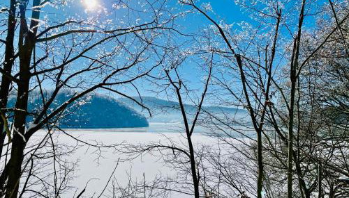 Edersee-Chalet - Foto 4