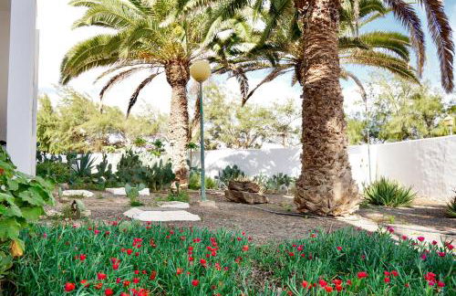 Casita perla blanca - Foto 28