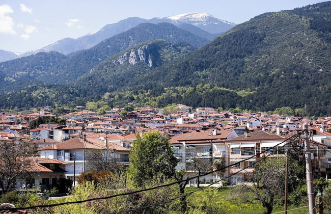 Zeusplace Maria's Olympus Apartment - Photo 41