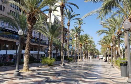 Calle Ingeniero Canales N 14, 2 Izq 03013 - Photo 16