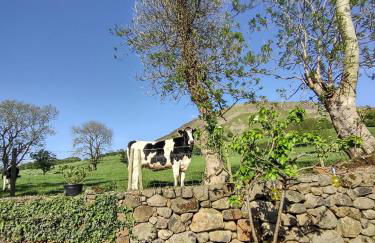 Ballymakeever Appartment - Private Hot Tub - Foto 31