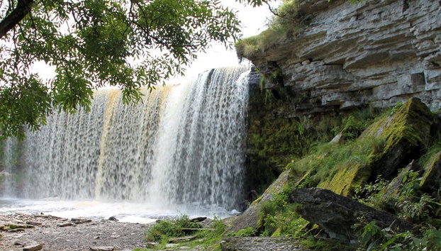 Lahemaa National Park tour - Photo 2