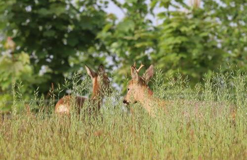 1 Bed in Umberleigh oc-55321 - Foto 24