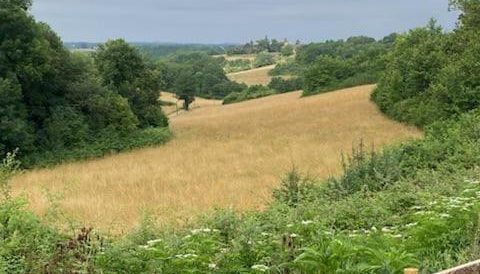 la maison dans la prairie fleurie gite bleuet - Foto 3