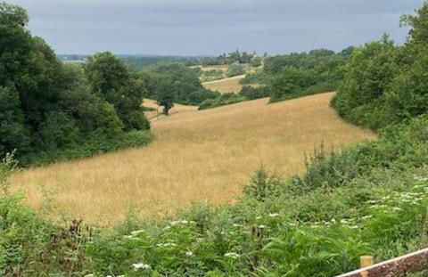 la maison dans la prairie fleurie gite bleuet - Foto 3
