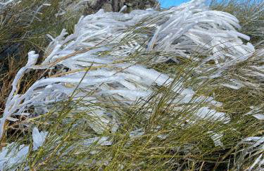 Casa dos Toros - Foto 14