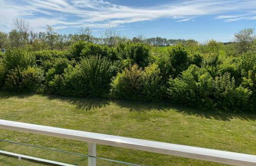 Fuchs und Elster - Foto 5