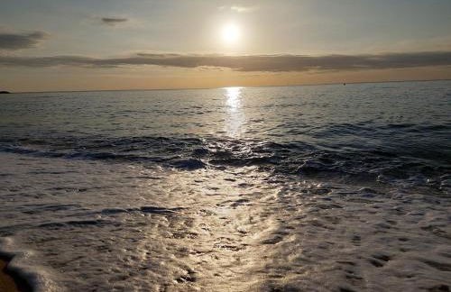 Oasis cerca de Barcelona - Photo 9