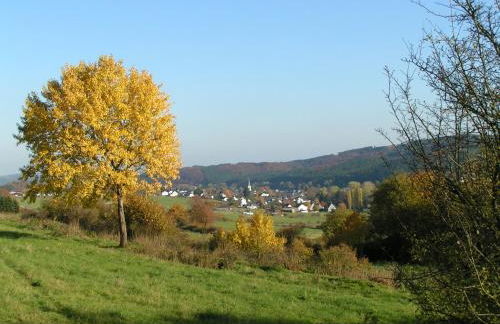 Fewo TaLuLa - Sauerland mit Hund - Foto 27