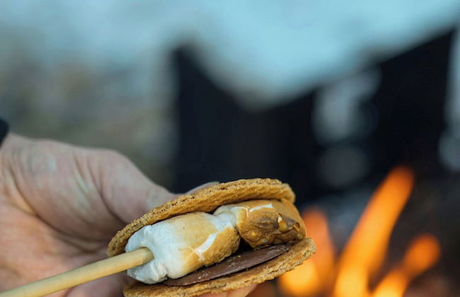 Postcard Cabins Western Catskills, Outdoor Collection by Marriott Bonvoy - Foto 61
