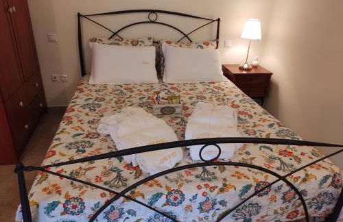 Archontiko Loukis - Foto 75