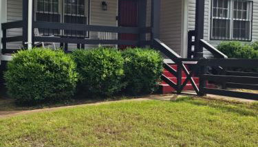 Retreat From The Madness - Foto 2