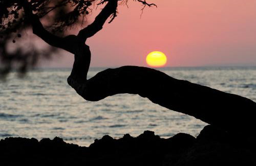 Modern Oceanview - Foto 19