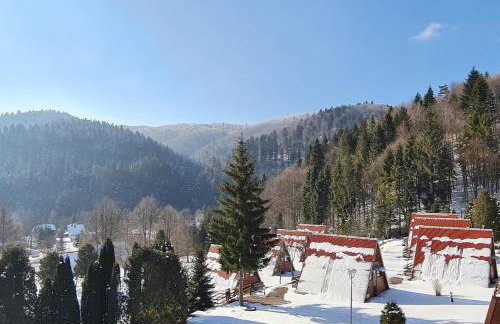 Perełka Bieszczady Domki - Photo 14