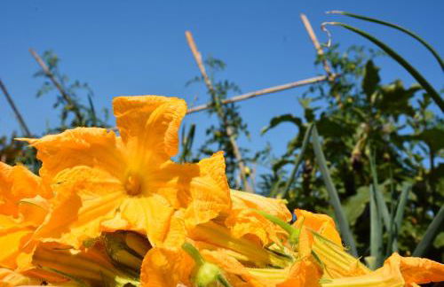 Casale Dionisia, Santa Maria di Castellabate - Foto 73