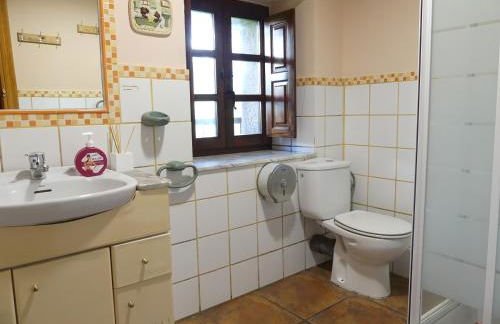 Cabaña pasiega Las Lugas - Foto 20