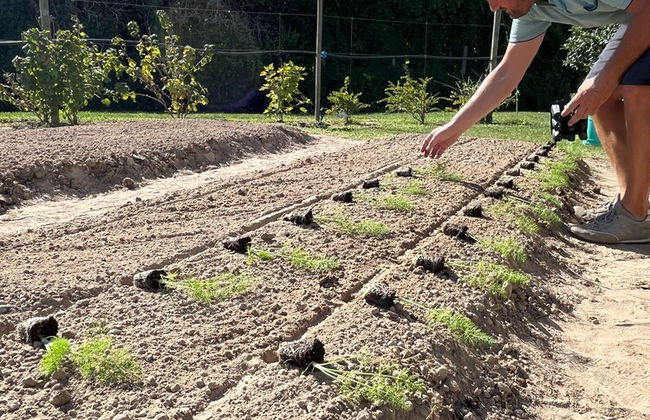 Agriturismo Casale ai Prati - Foto 43