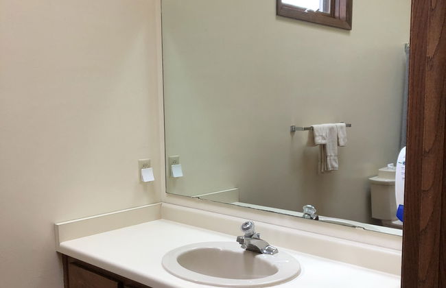 The Rushes - Foto 26