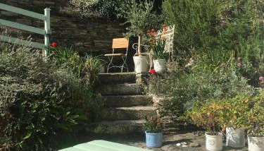 The Thatched Cottage - Photo 3