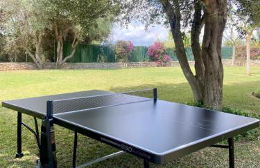 Finca Santa Maria - Foto 32