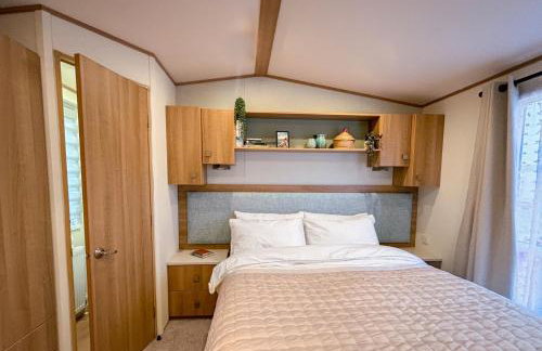 Little Curlew, Ynyslas, Borth - Foto 14