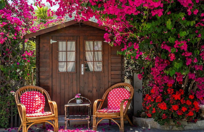 Hacienda Sol - Foto 46