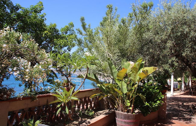 Villa degli Ulivi - Photo 33