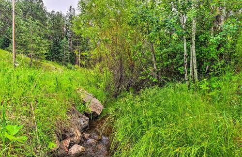 Creekside Morrison Cabin about 9 Mi to Red Rocks Park! - Foto 29