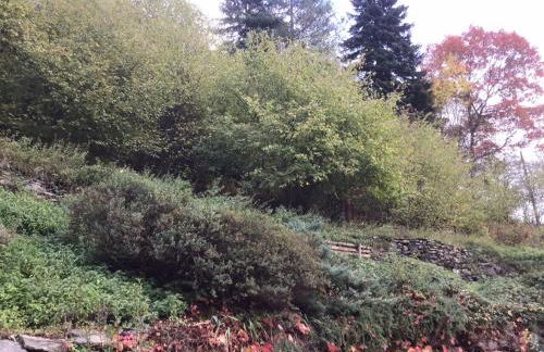 Mas Graffouil - Foto 7