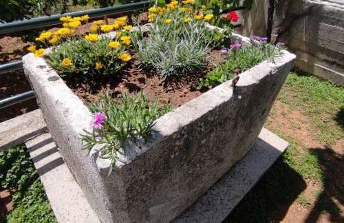 Apartment Kola - Two Bedroom Apartment with Balcony and Sea View 2 - Foto 17