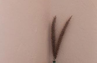 Casa del Lago - Foto 21