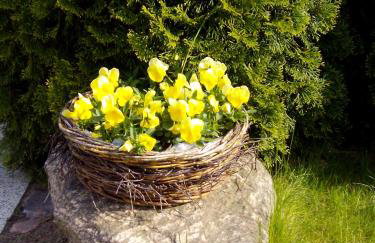 Dom Wakacyjny Quattro Niesulice - Foto 16