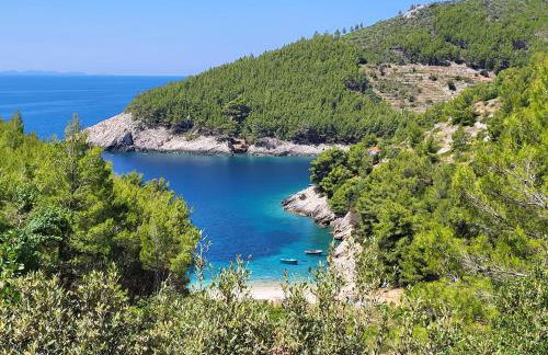 Robinson house Orlandusa - Foto 42