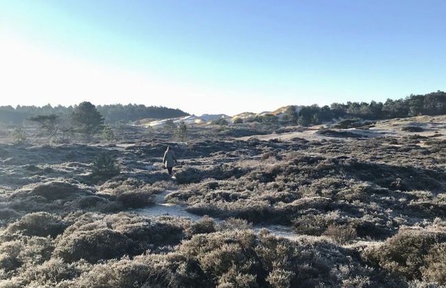 Holiday Apartment Salt and Dunes - Foto 12