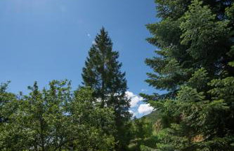 Sun&Sea House - Photo 39