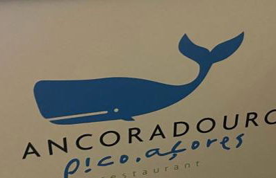 Welcome to Casa Fitz with Ocean Views and Air Conditioning - Photo 44