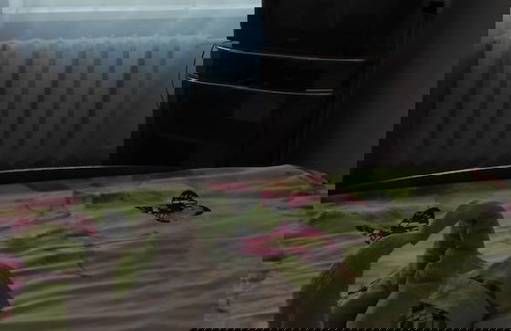 Apartment in the center on Lenin 30 - Photo 7