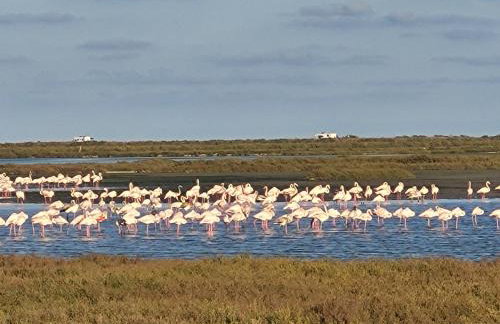 OFFI Eucaliptus - Foto 14