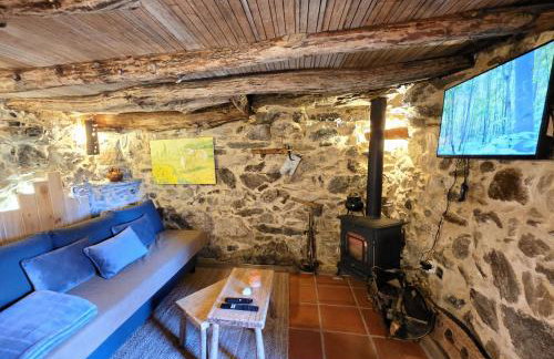 Cardenha das Formiguinhas - Foto 16