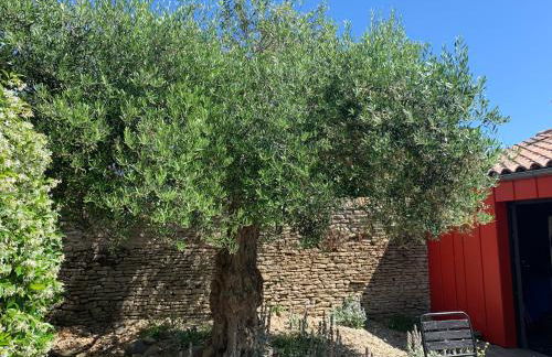 Clos Azyadé - Foto 21