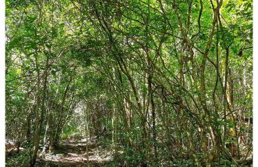 Casa para até 12 pessoas com cachoeiras perto de Brasília - Photo 42