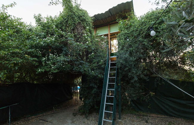 Sofiana s Garden Retreat w Private Pool - Foto 31